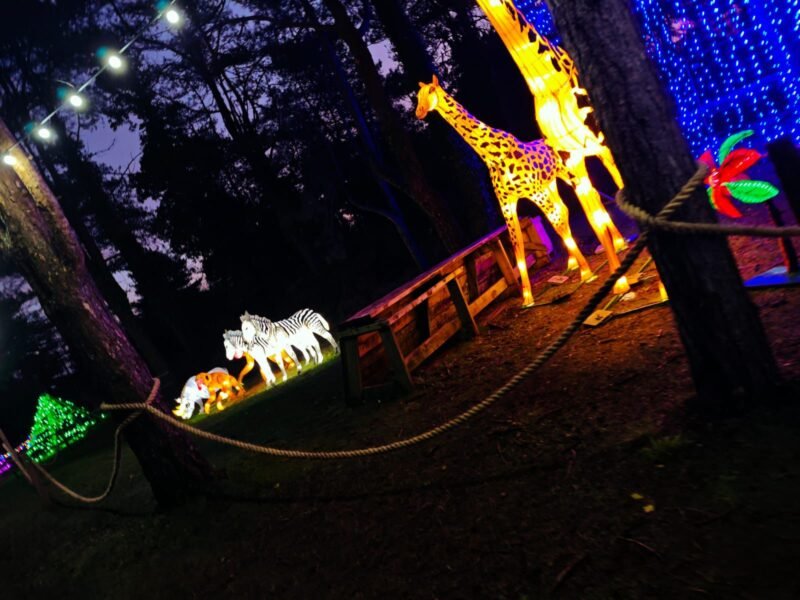 WhatsApp Image 2026-01-12 at 12.41.28